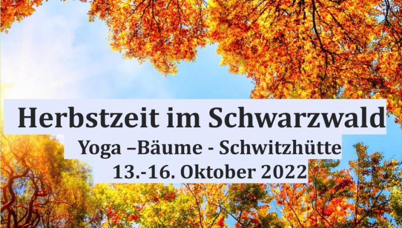 Herbstzeit im Schwarzwald- Yoga, Bäume und Schwitzhütte: Retreat mit AufReisen und Ann